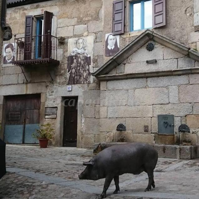 موجاراز Casa Rural Amparo المظهر الخارجي الصورة
